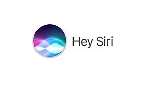siri logo siri logo